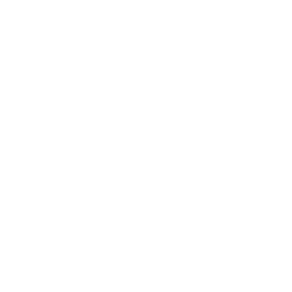 Zipped Pro